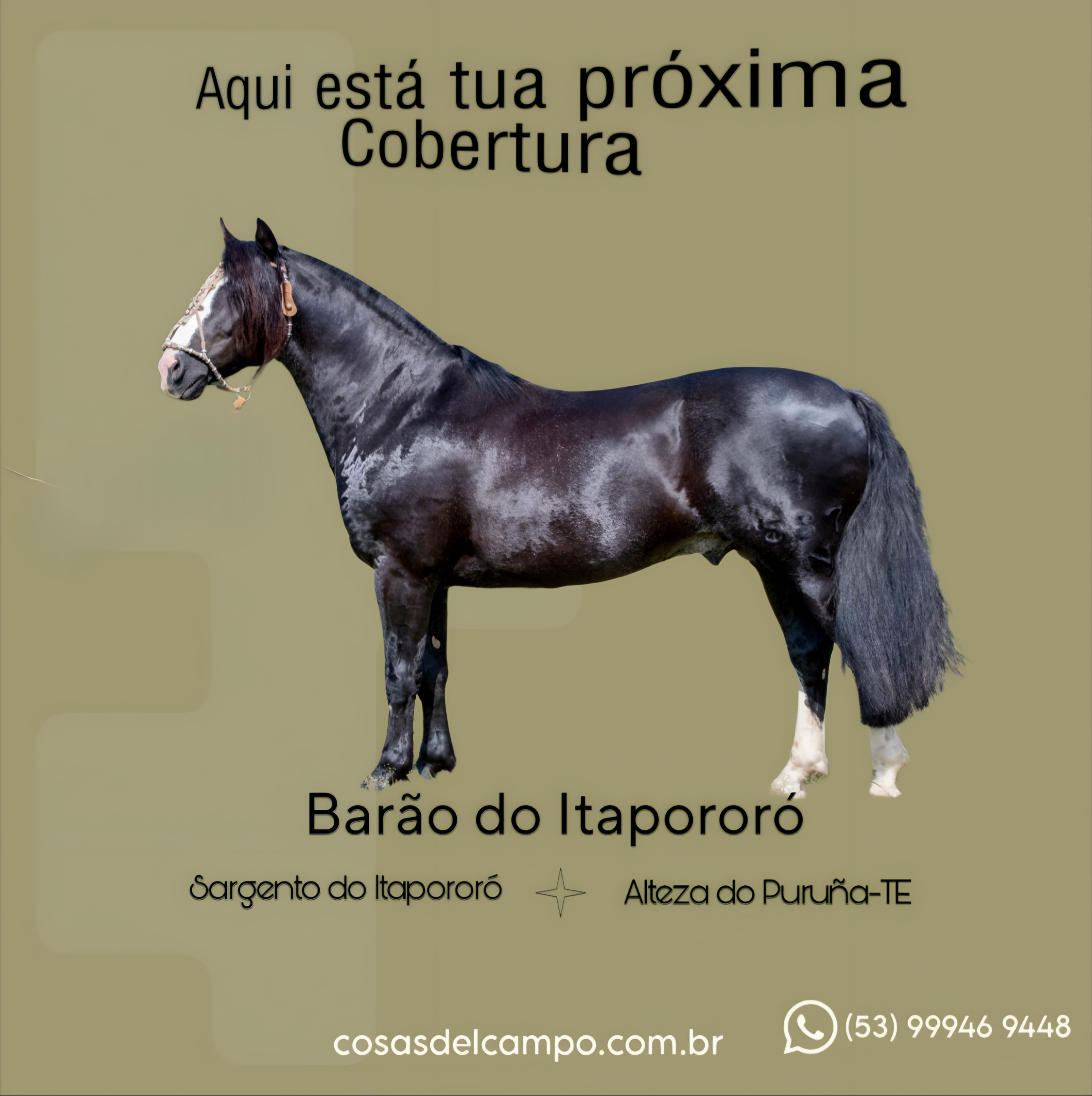 Sua próxima Cobertura esta aqui 