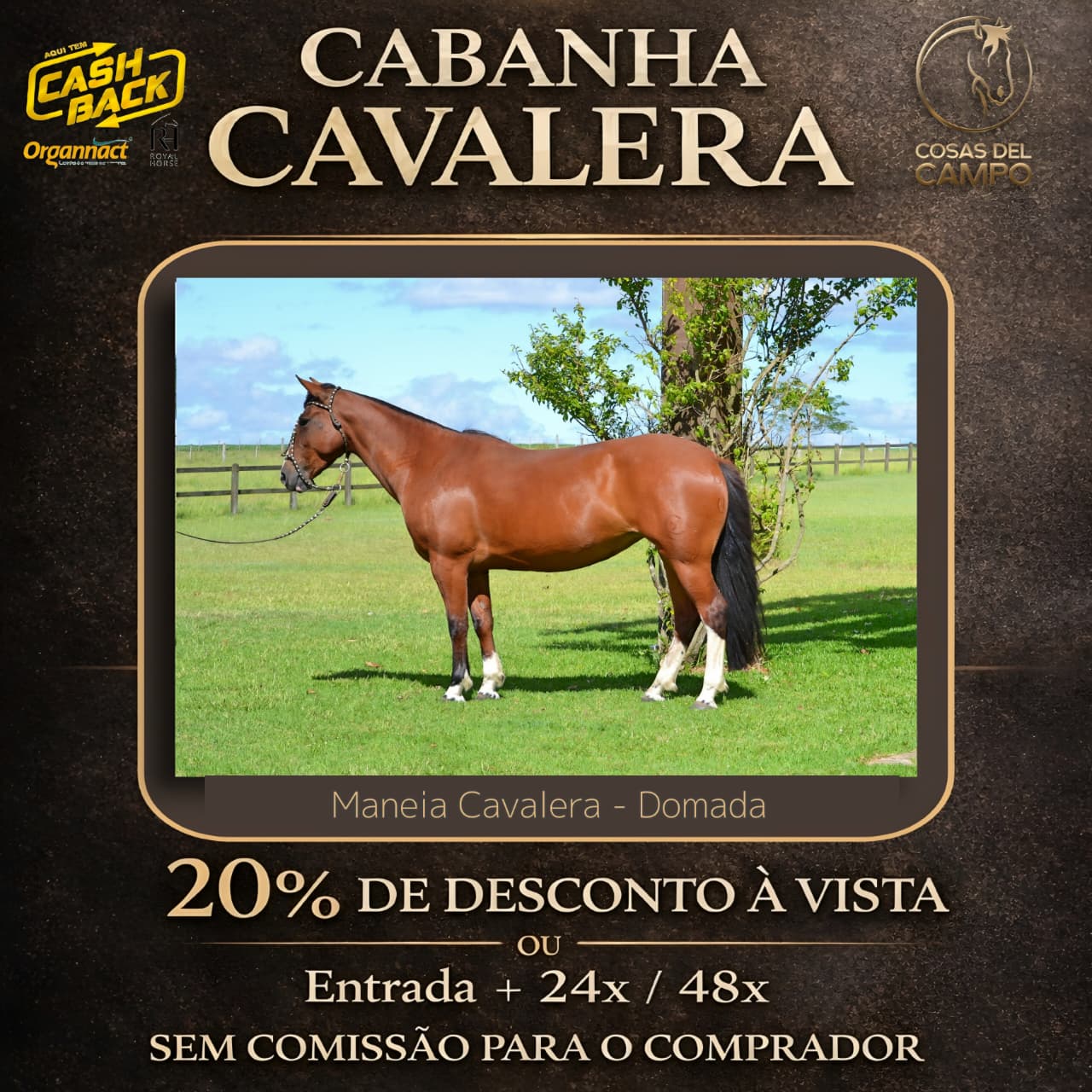 Cabanha Cavalera 