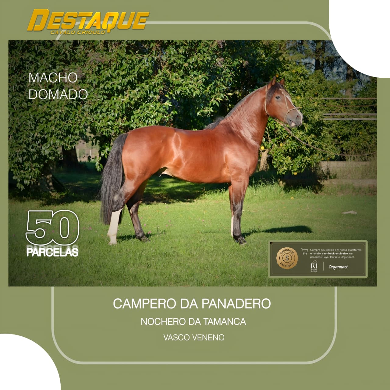 Destaque!!