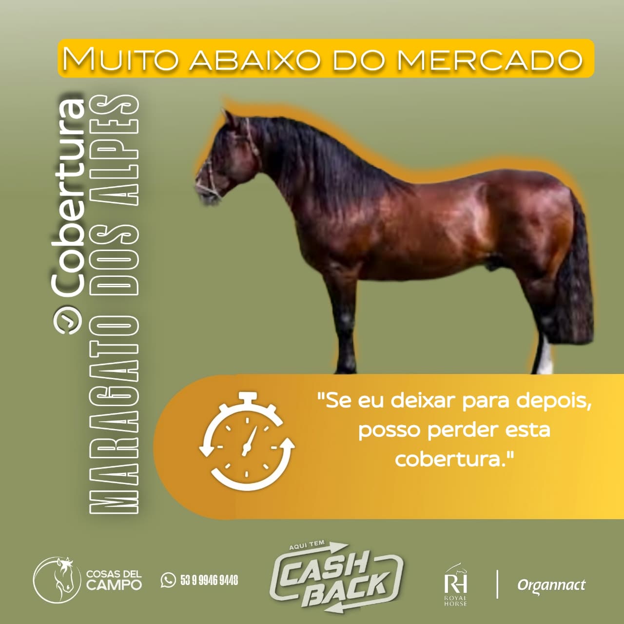 Oportunidades! 