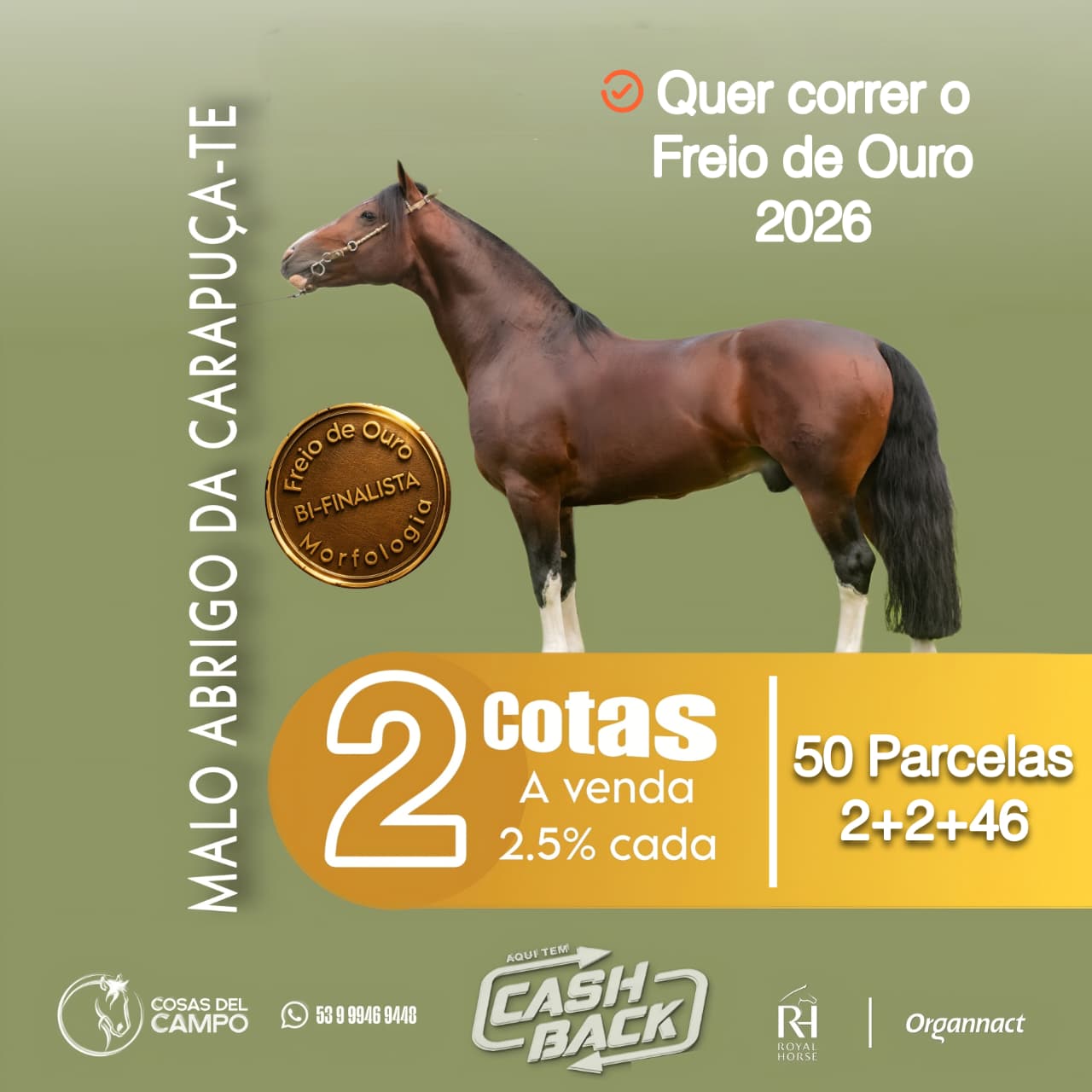 Quer correr o Freio de Ouro 2026