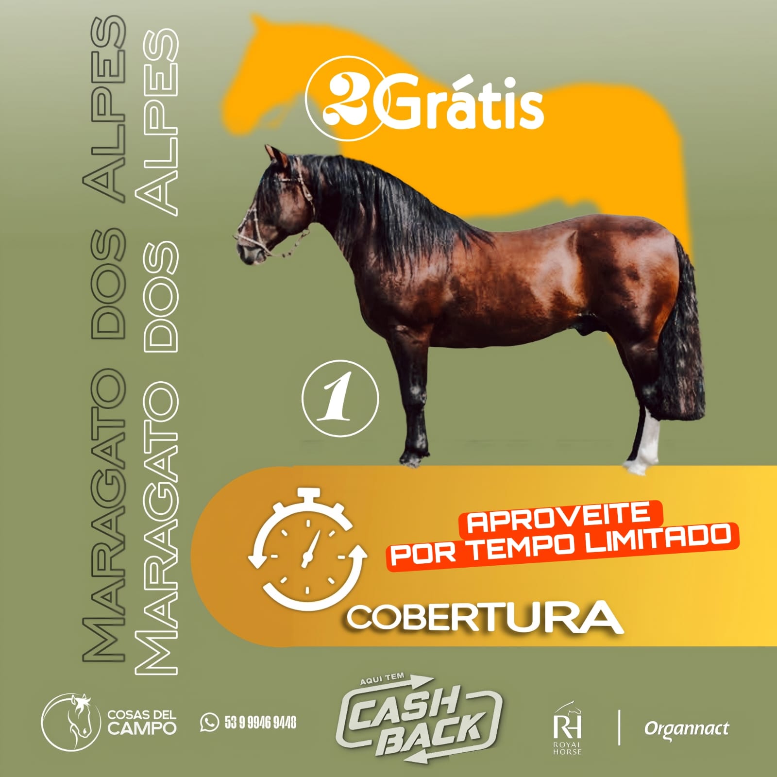 Oportunidades! 