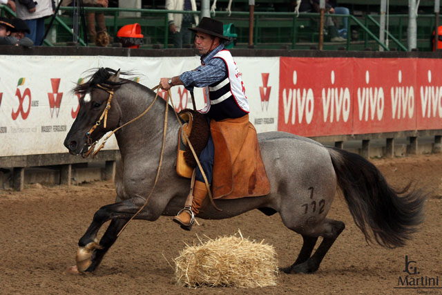 FERIADO DE SANTA EDWIGES, Cavalo Crioulo à venda