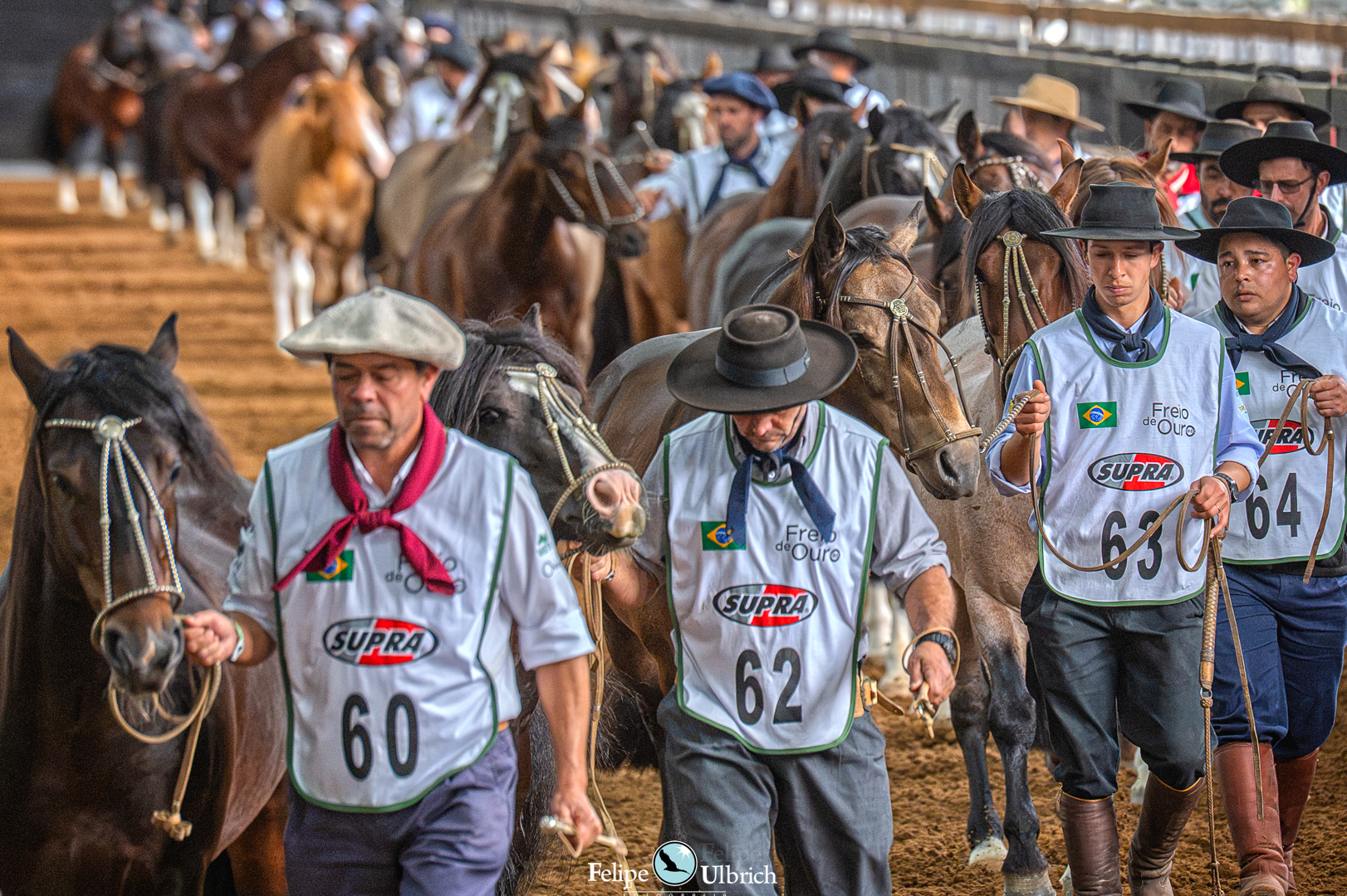 Em busca do Ouro, 106 animais iniciam a decisão do Freio 2026 na Expointer 