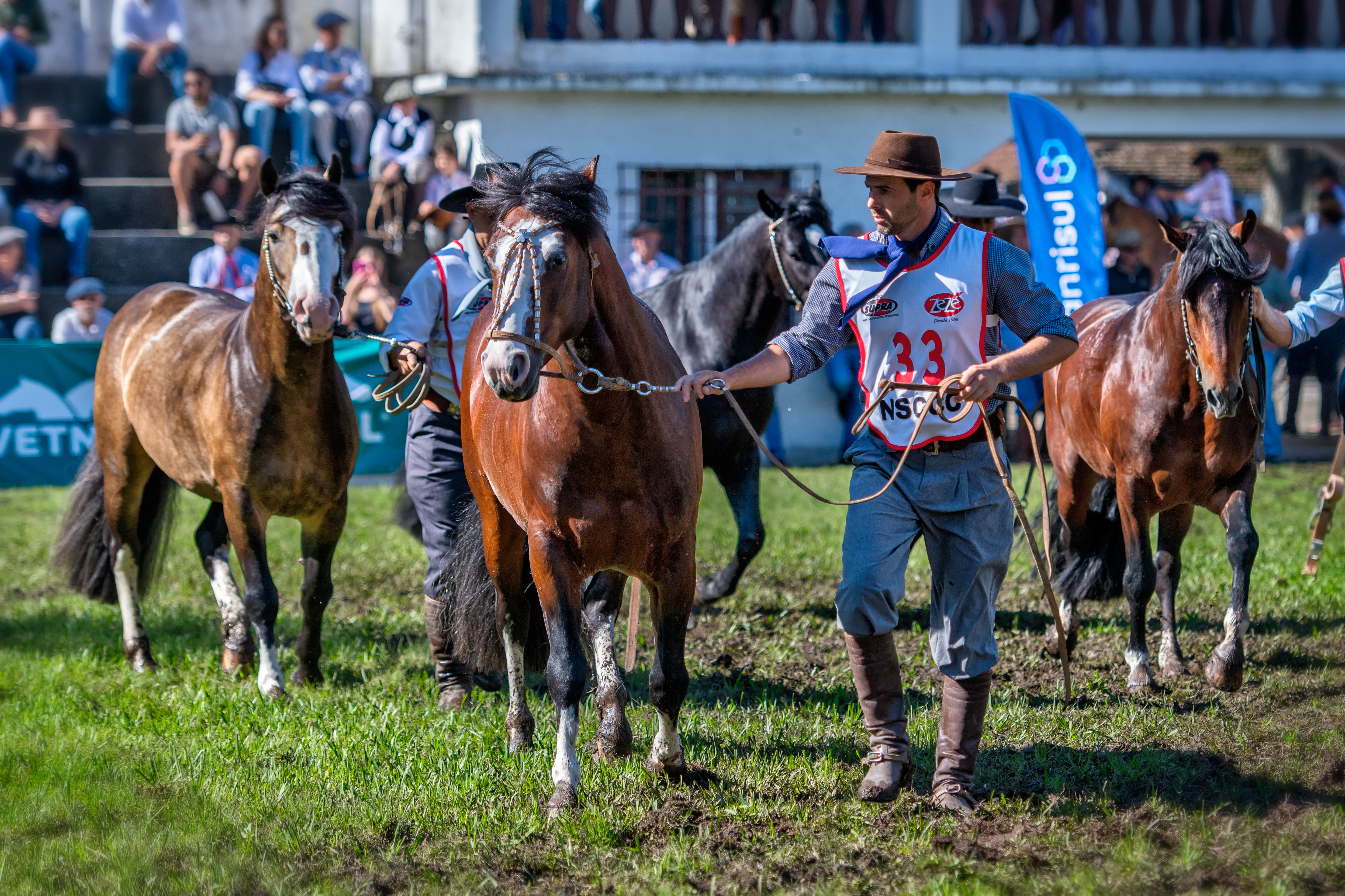 Cavalo Crioulo em destaque na 100ª Expofeira de Pelotas