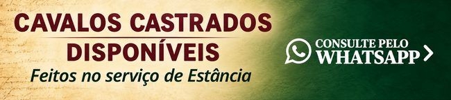 CAVALO CASTADOS 