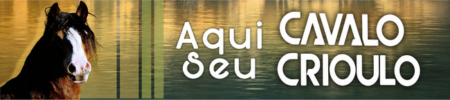AQUI SEU CAVALO CRIOULO 