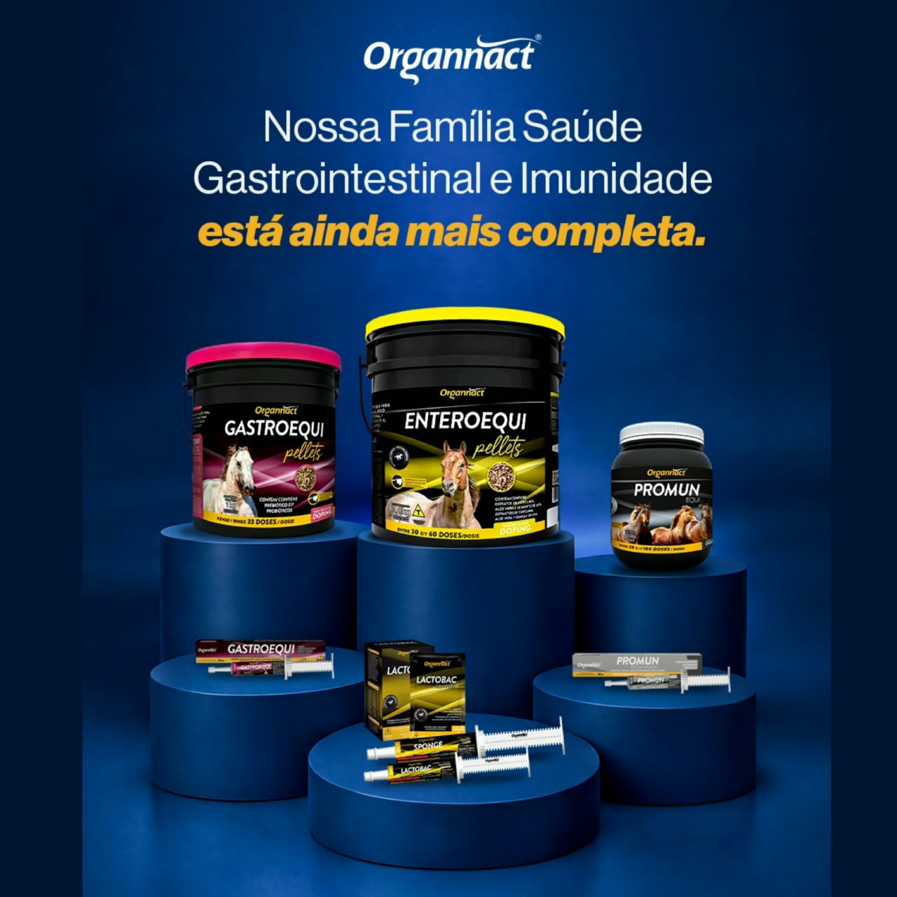 GASTROINTESTINAL ORGANNACT 