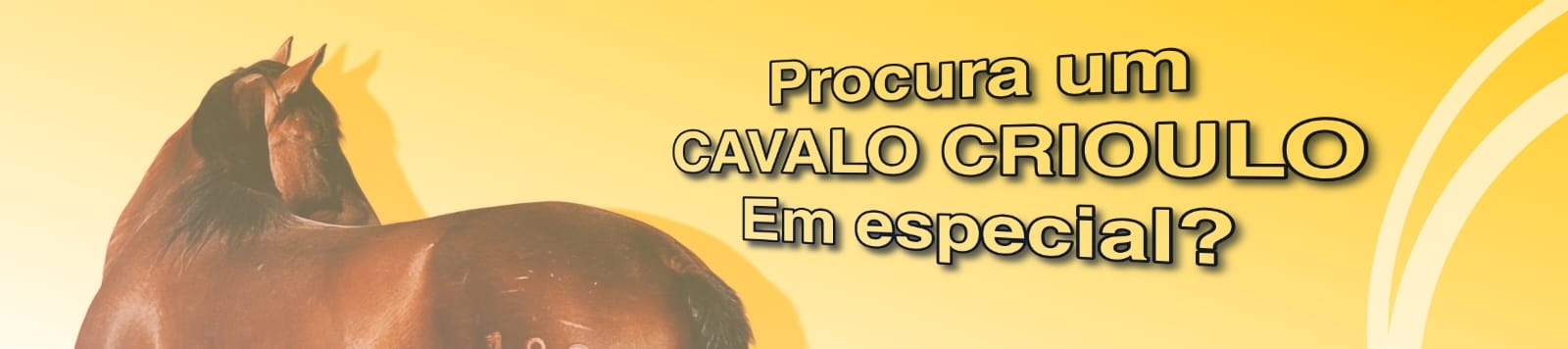 PROCURA UM CAVALO CRIOULO 
