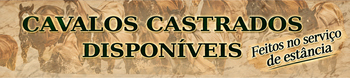 CAVALO CASTADOS 