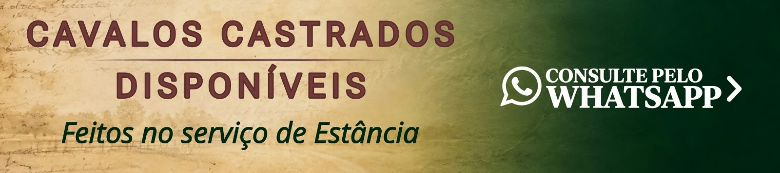 CAVALO CASTADOS 